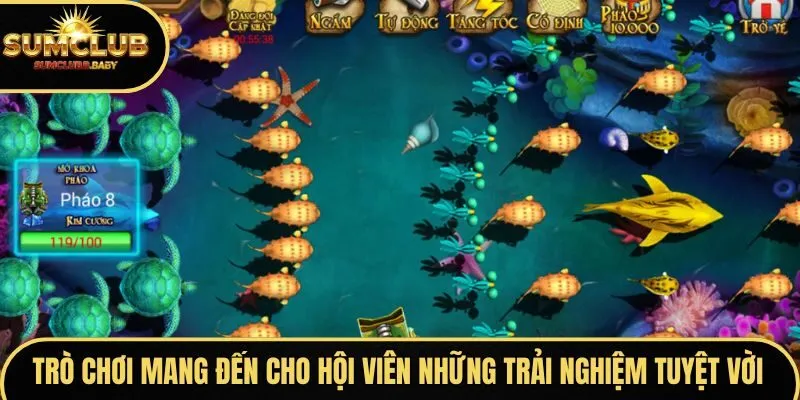 Trò chơi mang đến cho hội viên những trải nghiệm tuyệt vời