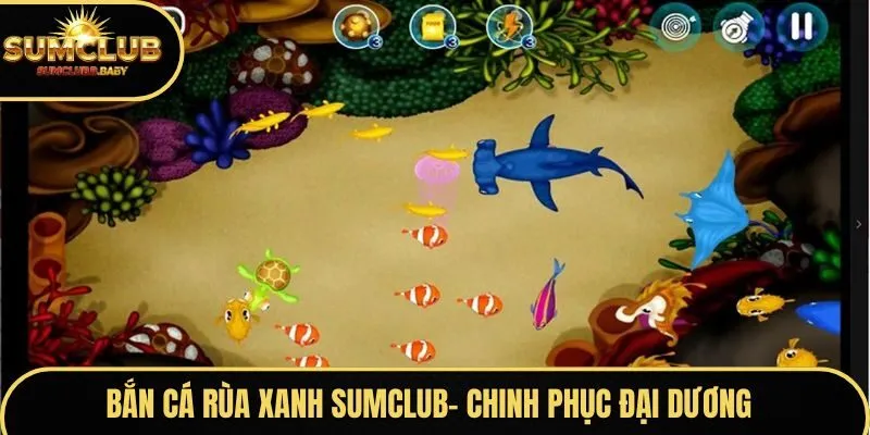 Bắn Cá Rùa Xanh
