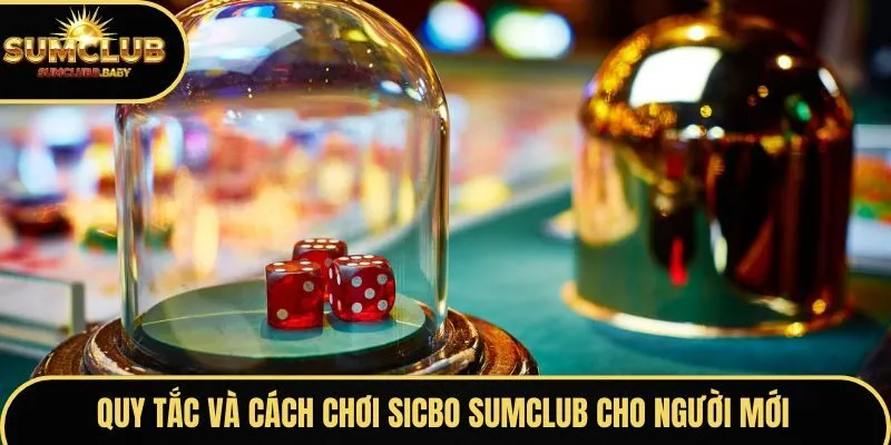 Quy tắc và cách chơi Sicbo SUMCLUB cho người mới bắt đầu